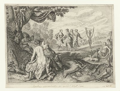 Apulian Shepherd muuttui oliivipuuksi Metamorphoses of Ovid (sarjan nimi) tekijältä Crispijn van de Passe (II) (workshop of)