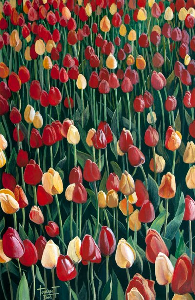 Tulppaanit, 2010 (akryyli paperille) tekijältä Cruz Jurado Traverso