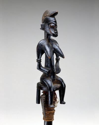 Champion-kultivaattorihenkilökunta, Korhogon alue, Norsunluurannikko, 1800-luvun loppu - 1900-luvun alku (puu, lehmänkuoret, kasvikuitu, sarvi ja rauta) tekijältä Culture Senufo