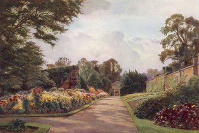 Varhaiset krysanteemit, Claremont (väri litho) tekijältä Cyril Ward