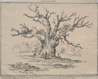 Fairlop Oak tekijältä D. H. Redman