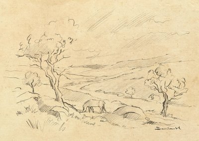 Dartmoorin poni tekijältä Dan Hobday