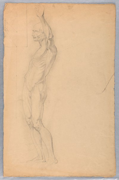 Piirros, Anatominen tutkimus miehestä, n. 1850. tekijältä Daniel Huntington