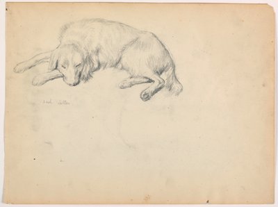 Piirros, Dash (setteri), n. 1862. tekijältä Daniel Huntington