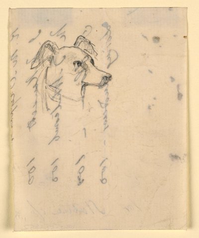 Piirros, koiran pää, luultavasti Milo (pointteri), n. 1862. tekijältä Daniel Huntington