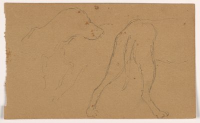 Piirros, Milo (pointteri), pää ja vartalo, n. 1862. tekijältä Daniel Huntington