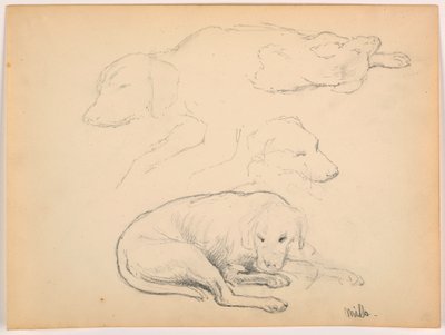 Piirros, Milo (kyttä), useita opintoja, n. 1862 tekijältä Daniel Huntington