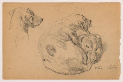 Piirustus, Milo (kintere) Kolme opusta, Milo (kintere) Kaksi opusta, n. 1862. tekijältä Daniel Huntington
