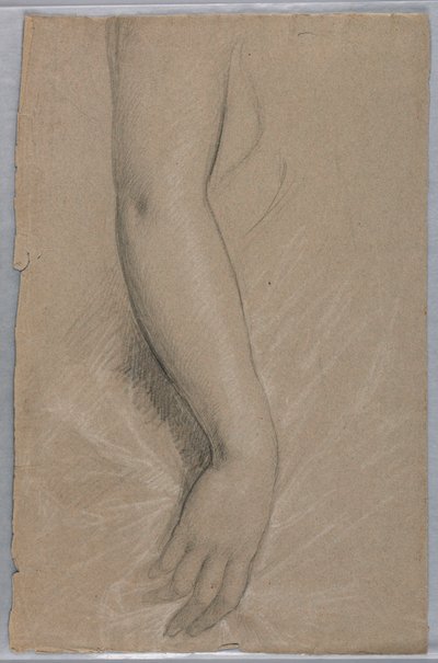 Piirros, rouva Rutherford B Hayes, 1880 tekijältä Daniel Huntington