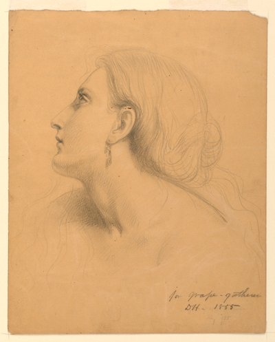 Piirros, tutkimus "Viinirypäleenkerääjät", heinäkuu 1855. tekijältä Daniel Huntington