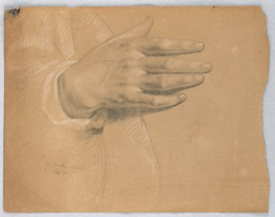 Piirustus, tutkimus "Martha Reprove", helmikuu 1855. tekijältä Daniel Huntington