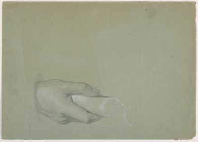 Piirros, tutkimus "Tribute Money" -teosta, 1852 tekijältä Daniel Huntington