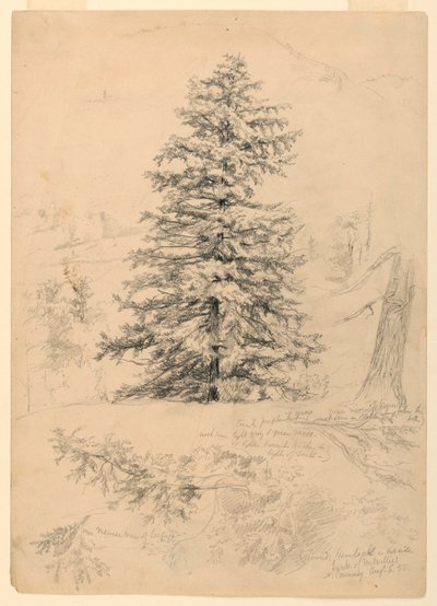 Piirros, Hemlockin tutkiminen, North Conway, New Hampshire, 6. elokuuta 1855. tekijältä Daniel Huntington