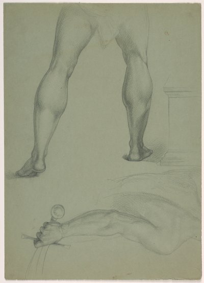 Piirustus, Kaksi anatomista tutkimusta, n. 1850 tekijältä Daniel Huntington