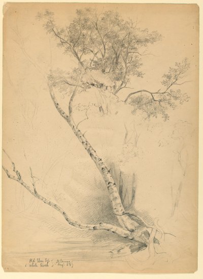 Old Elm Top ja White Birch, North Conway, New Hampshire tekijältä Daniel Huntington
