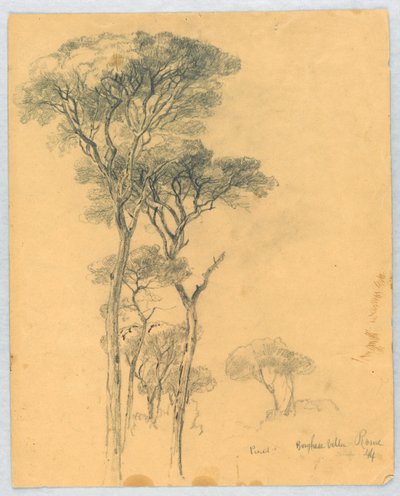 Pinestutkimus, Borghesen huvila, Rooma tekijältä Daniel Huntington