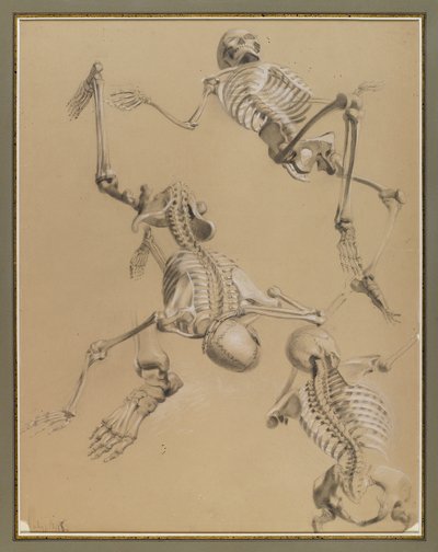Tutkimus luurangoista, 1848 (liitu paperille) tekijältä Daniel Huntington