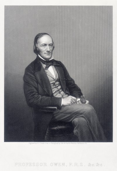 Sir Richard Owen, englantilainen eläintieteilijä, 1860. tekijältä Daniel John Pound