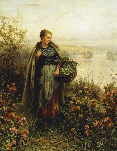 Aamun jäähdytys, tekijältä Daniel Ridgway Knight