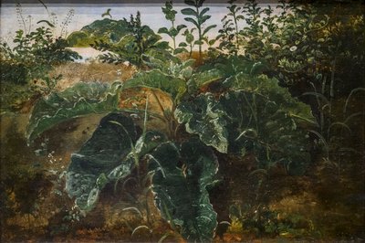 Etualan tutkimus telakan lehtien kanssa tekijältä Dankvart Dreyer