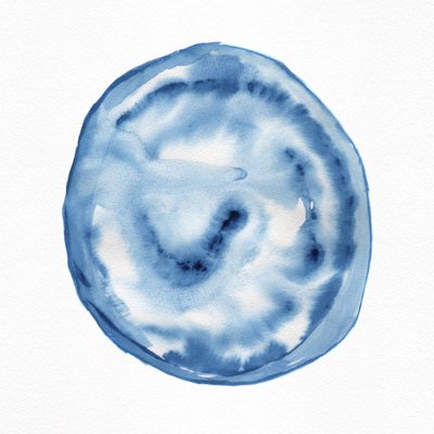 Indigo-pyörre tekijältä Danushka Abeygoda