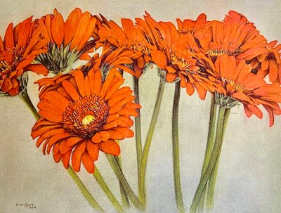 Orange Burst, 2019 (lyijykynä, akryyli paperille) tekijältä Darrell Windjack