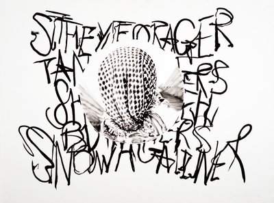 Lansdcape, 2003 (tussi paperille) tekijältä Darren Coffield