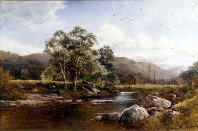 Koivut nahalla tekijältä David Bates