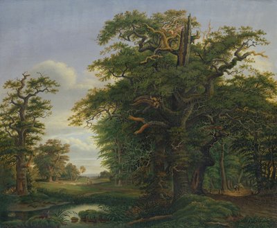 Tammipuu, 1847 tekijältä David Christopher Mettlerkamp