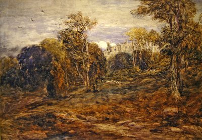 Barden Tower tekijältä David Cox