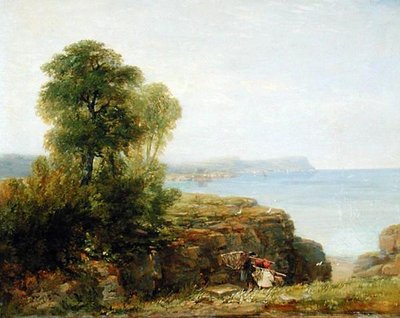 Cardigan Bay tekijältä David Cox