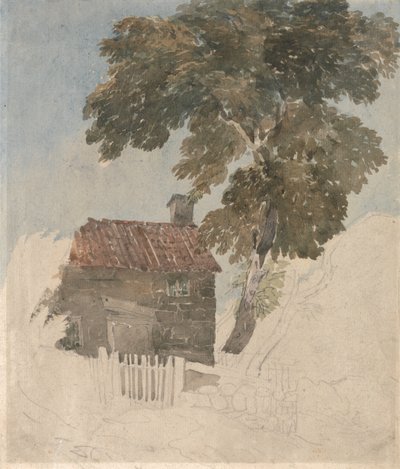 Mökki ja puut tekijältä David Cox
