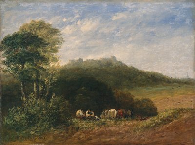 Dudleyn linna; 1853 (öljy kankaalle) tekijältä David Cox