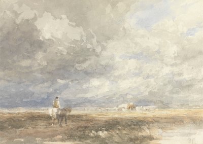 Menee Hayfieldille tekijältä David Cox