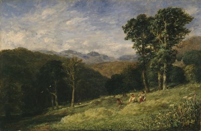 Heinänteko Conwayn lähellä tekijältä David Cox