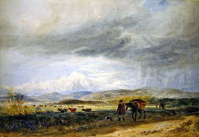 Llugwy Meadows (akvarelli paperille) tekijältä David Cox