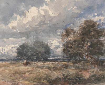 Lauman paimentaminen, tuulinen päivä tekijältä David Cox