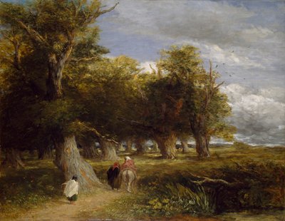 Metsän hameet, 1855 tekijältä David Cox