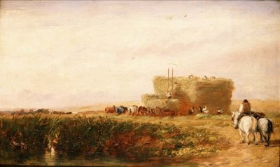 Hayfield tekijältä David Cox