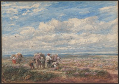  tekijältä David Cox