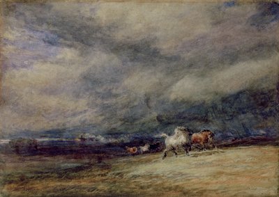 Yöjuna tekijältä David Cox