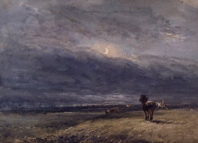 Yöjuna tekijältä David Cox