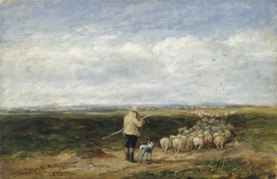 Paimen, lauman paluu tekijältä David Cox