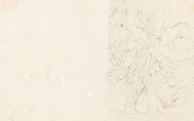 Puut [verso] tekijältä David Cox