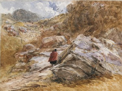 Vuoristosola Bettws-y-Coedissa, 1851 tekijältä David Cox the elder