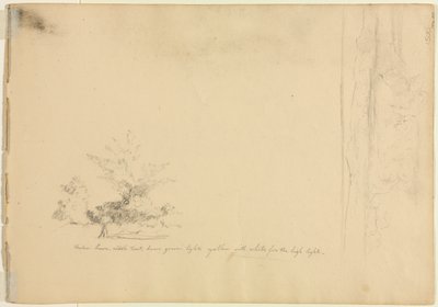 Maisema- ja puututkimukset päinvastoin, n. 1851. tekijältä David Johnson