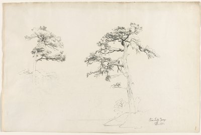 Pine, Lake George, 1871. tekijältä David Johnson