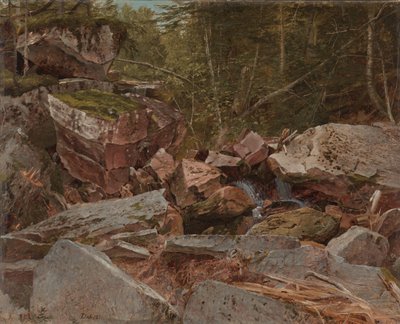Study, North Conway, New Hampshire, 1851 tekijältä David Johnson