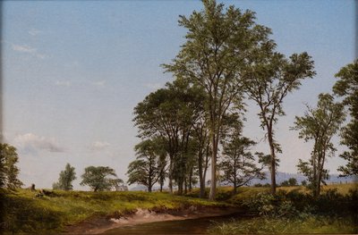Nuoret Elms tekijältä David Johnson