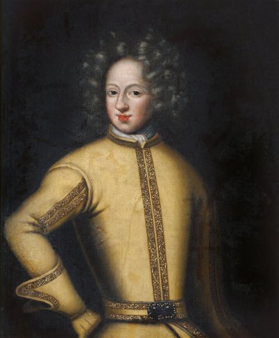 Kaarle XII (1682–1718), Zweibrückenin palatiinikreivi, Ruotsin kuningas tekijältä David Klöcker Ehrenstrahl